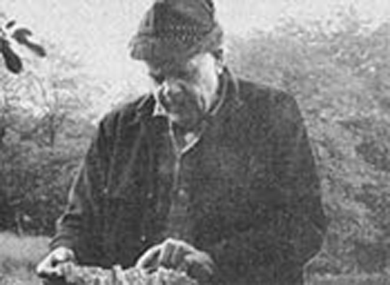 Photo of G.M. Brandborg, forest-conservationist.